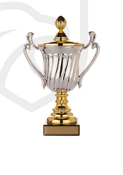 https://kincumbercoltsrlfc.com.au/wp-content/uploads/2022/11/trophy_overlay_02.jpg