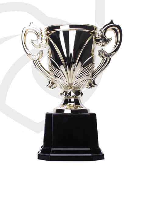 https://kincumbercoltsrlfc.com.au/wp-content/uploads/2022/11/trophy_overlay_04.jpg