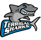 Terrigal Sharks rlfc